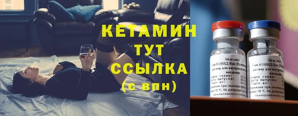 гидра Арсеньев