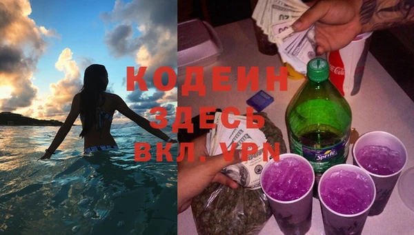 гидра Арсеньев